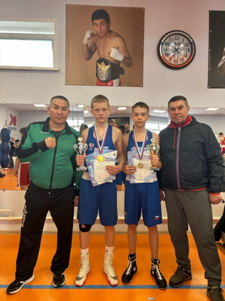 Бокс 3 борисов