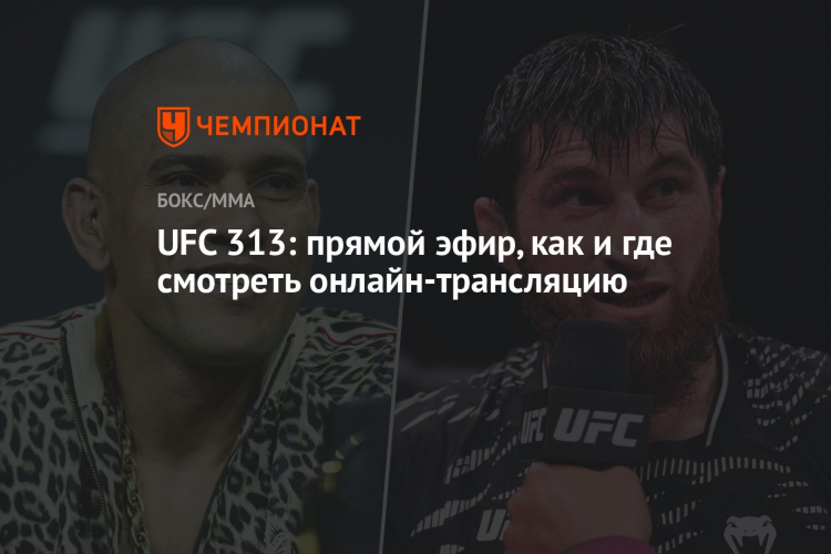 Матч боец смотреть прямой эфир