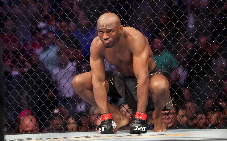 Сколько бойцов в ufc