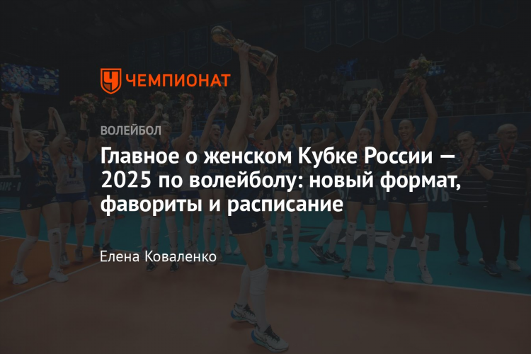 Смотреть матчи по волейболу